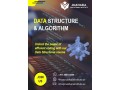 data-structure-course-classes-start-with-makharia-call-0568723609-small-0