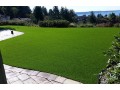 artificial-grass-dubai-premium-fake-grass-for-gardens-lawns-2024-small-2