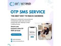 reliable-otp-verification-service-bulk-sms-otp-service-otp-sms-verification-small-0