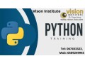 python-programming-classes-at-vision-institute-call-0509249945-small-0