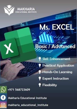 mastering-microsoft-excel-with-makharia-0568723609-big-0