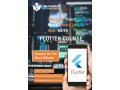 mobile-application-development-using-flutter-971-56-872-3609-small-0