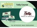 tally-training-at-vision-institute-call-0509249945-small-0