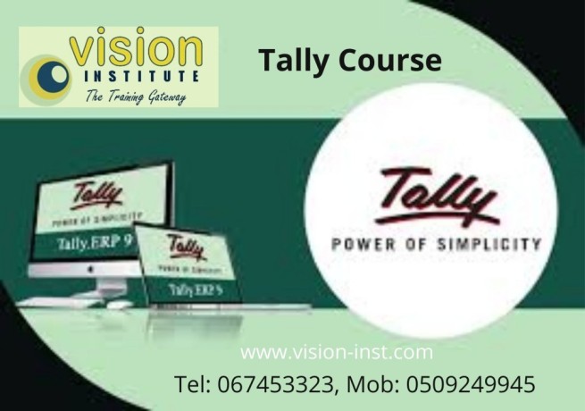 tally-training-at-vision-institute-call-0509249945-big-0