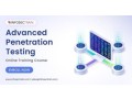 penetration-testing-training-for-cybersecurity-professionals-small-0