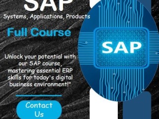 SAP Fundamentals Learn SAP ERP Basics Call 0568723609