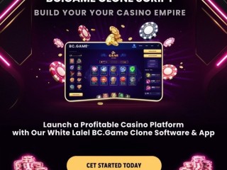 Why Entrepreneurs Choose BC.Game Clone Script for Casino Success