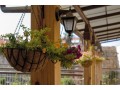 stylish-hanging-plant-pots-for-your-green-space-small-0