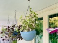 stylish-hanging-plant-pots-for-your-green-space-small-1