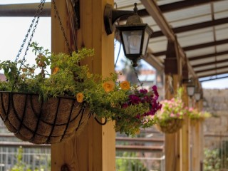 Stylish Hanging Plant Pots for Your Green Space