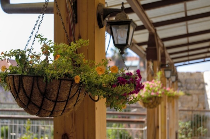 stylish-hanging-plant-pots-for-your-green-space-big-0