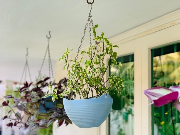 stylish-hanging-plant-pots-for-your-green-space-big-1