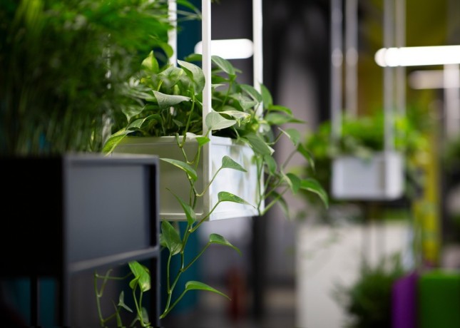 stylish-hanging-plant-pots-for-your-green-space-big-2