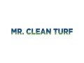 mr-clean-turf-small-0