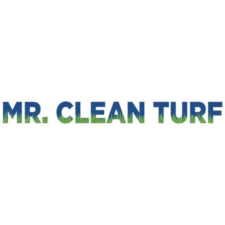 mr-clean-turf-big-0