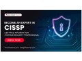 cissp-certification-training-course-small-0