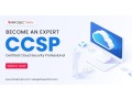 ccsp-certification-infosectrain-small-0