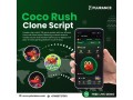 transform-telegram-gaming-with-the-ultimate-coco-rush-clone-solution-small-0