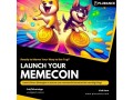 create-and-launch-your-viral-meme-coin-with-plurance-the-top-meme-coin-development-company-small-0