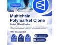 create-a-feature-rich-blockchain-prediction-market-with-our-polymarket-clone-small-0