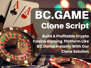 Launch a Futuristic Gaming Platform with White Label BC.Game Clone Software