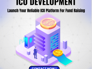 What services  does  a token development company offer?