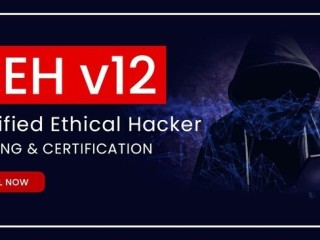 Certified Ethical Hacker Training