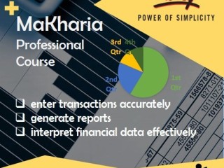 Tally Accounting Full Course With Makharia - 0568723609