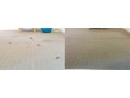 improve-indoor-air-quality-with-end-to-end-carpet-cleaning-adelaide-small-0