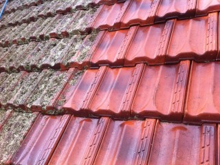 Adelaide Roof Repairs