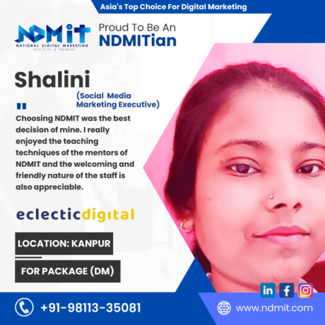 ndmit-best-digital-marketing-institute-in-kanpur-big-1