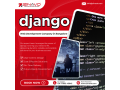 django-web-development-company-in-bangalore-small-0