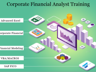 Financial Modeling Course in Delhi, 110010. Best "Online Financial Analyst Training Course" in Bangalore by IIT Faculty , [ 100% Job in MNC]