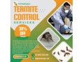 protect-your-property-with-professional-termite-services-small-0