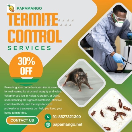 protect-your-property-with-professional-termite-services-big-0