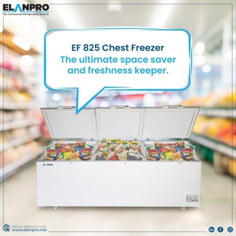 explore-the-best-quality-chest-freezer-in-india-elanpro-big-0