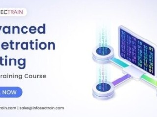 Penetration Testing Training: Master Ethical Hacking