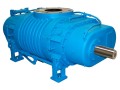 mechanical-booster-vacuum-pump-manufacturer-in-mumbai-india-small-0