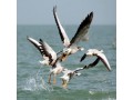 family-holiday-packages-to-chilika-small-0