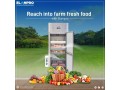 choose-the-best-kitchen-refrigerator-for-your-home-elanpro-appliances-small-0