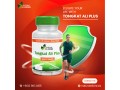 tongkat-ali-testosterone-booster-small-0