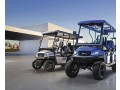 ami-luxury-golf-cart-rentals-small-0