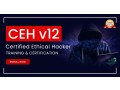 infosectrain-ethical-hacker-training-small-0