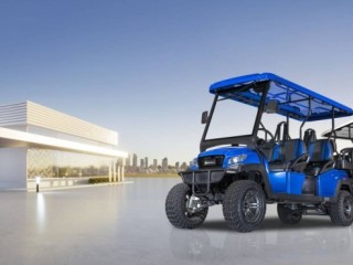 AMI Golf Cart Rentals