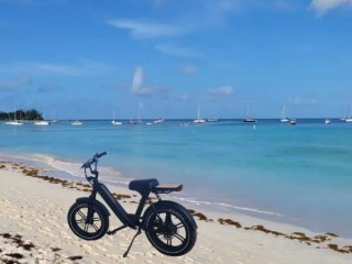 Top Rated Ebike in Aruba  Rent with WeBike Aruba!