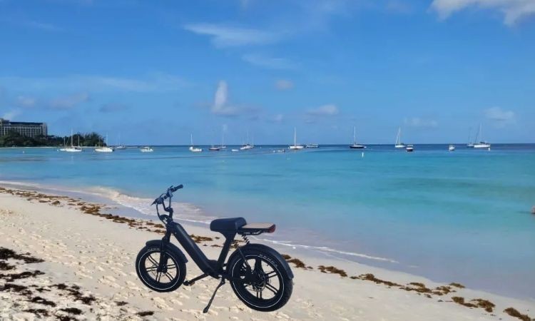 top-rated-ebike-in-aruba-rent-with-webike-aruba-big-0