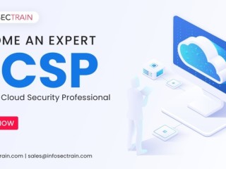 CCSP Online Training